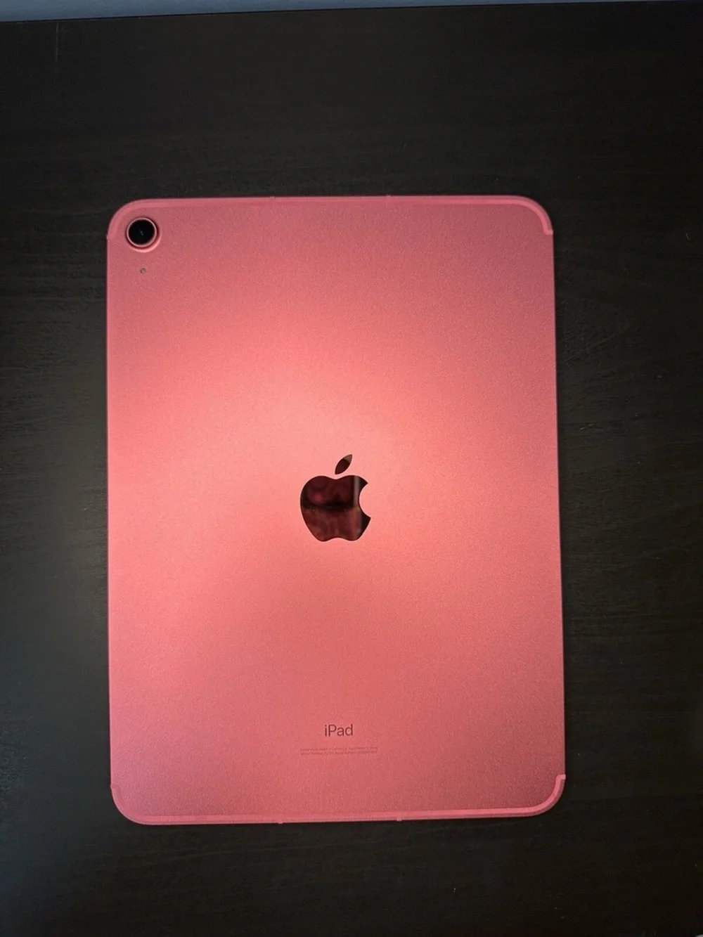 Apple iPad in Pink Aluminum Finish